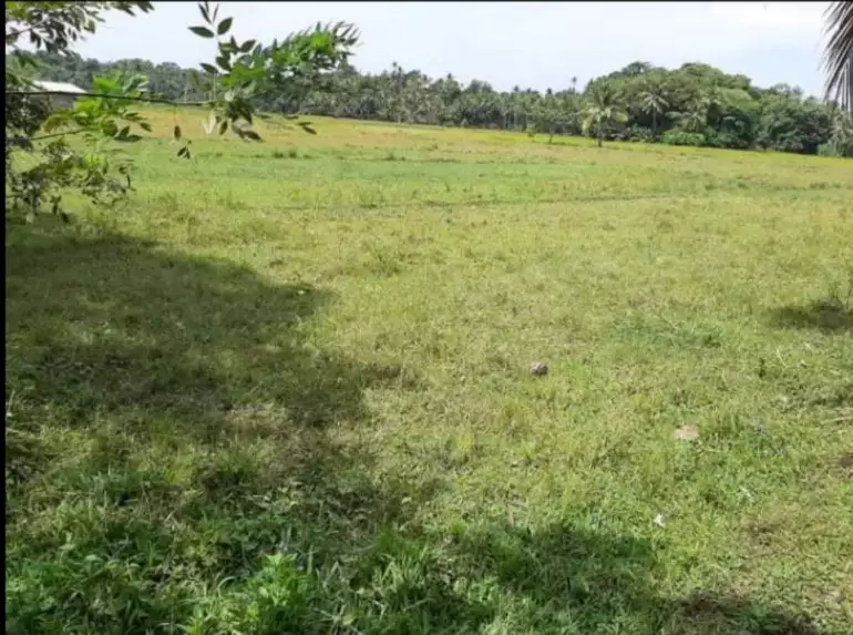 LOT FOR SALE IN TAWIN-TAWIN, GENERAL LUNA, SIARGAO ISLANDS — Agricultural Lot in Surigao del Norte, Philippines — Photo 4