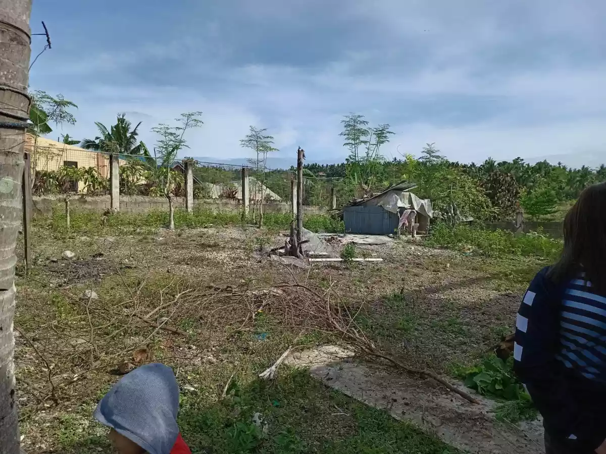 RESIDENTIAL LOT IN SAN FERNANDO, CEBU - photo 6