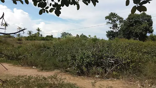 Open photo 45 of 57 — Lot for Sale in Amlan Negros Oriental