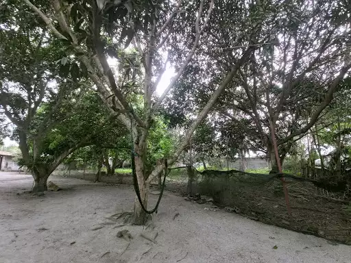 1121 Sq.m lot 