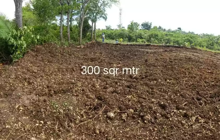 Tagbilaran Bohol Lot for Sale  - photo 4