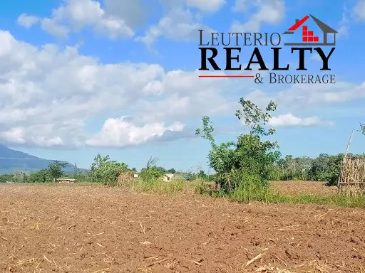 Agri Land — Agricultural Lot in Naga, Camarines Sur, Philippines — Photo 5