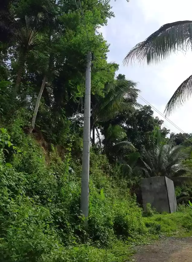 9000 SQM IN SAN FERNANDO CEBU - photo 6