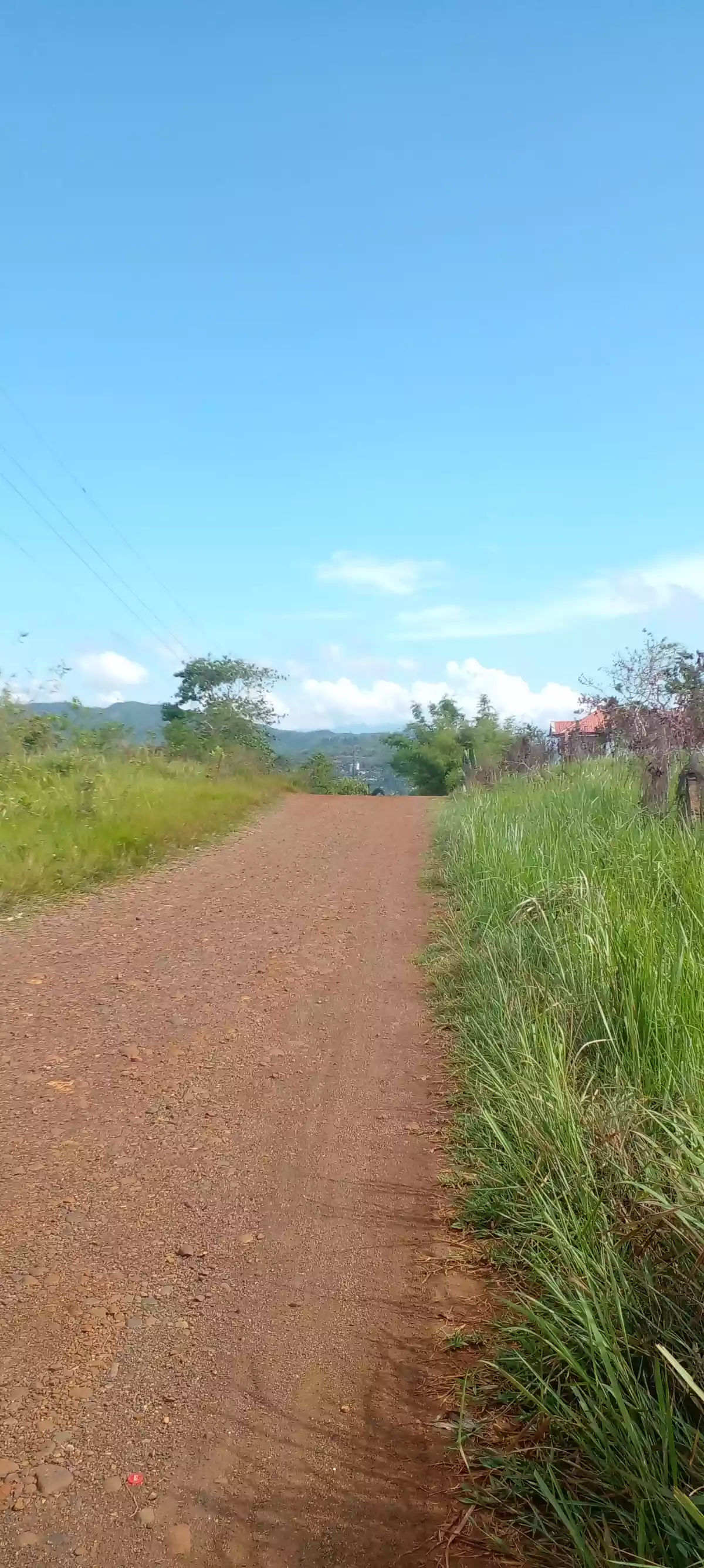 Overlooking Honda Bay Property