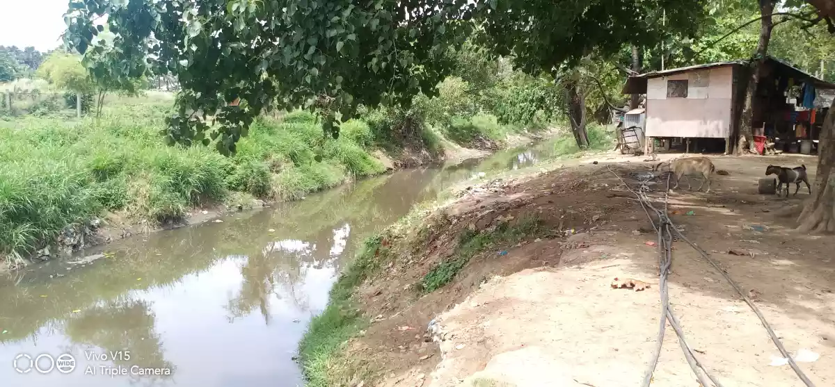 Commercial Lot For Sale in Paknaan, Mandaue - photo 7