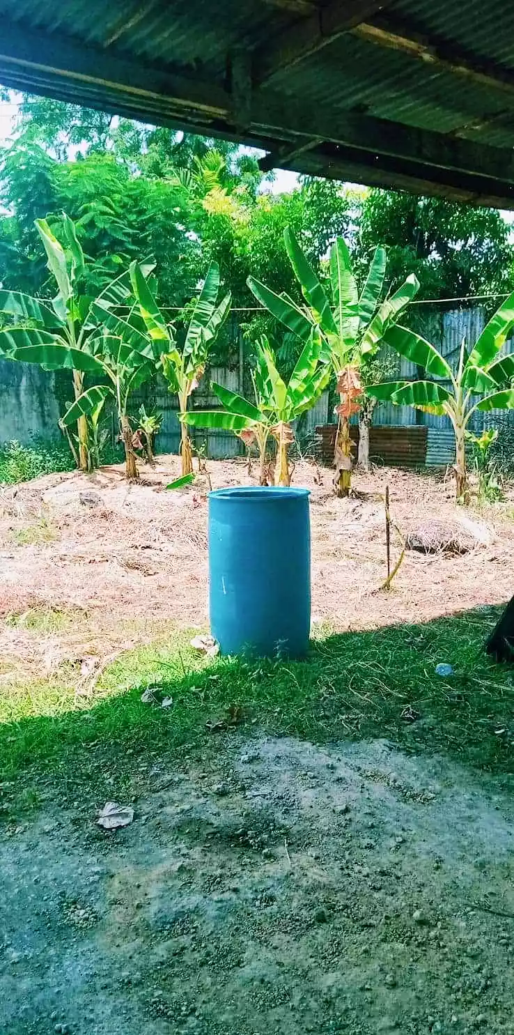 Lot for sale - photo 3