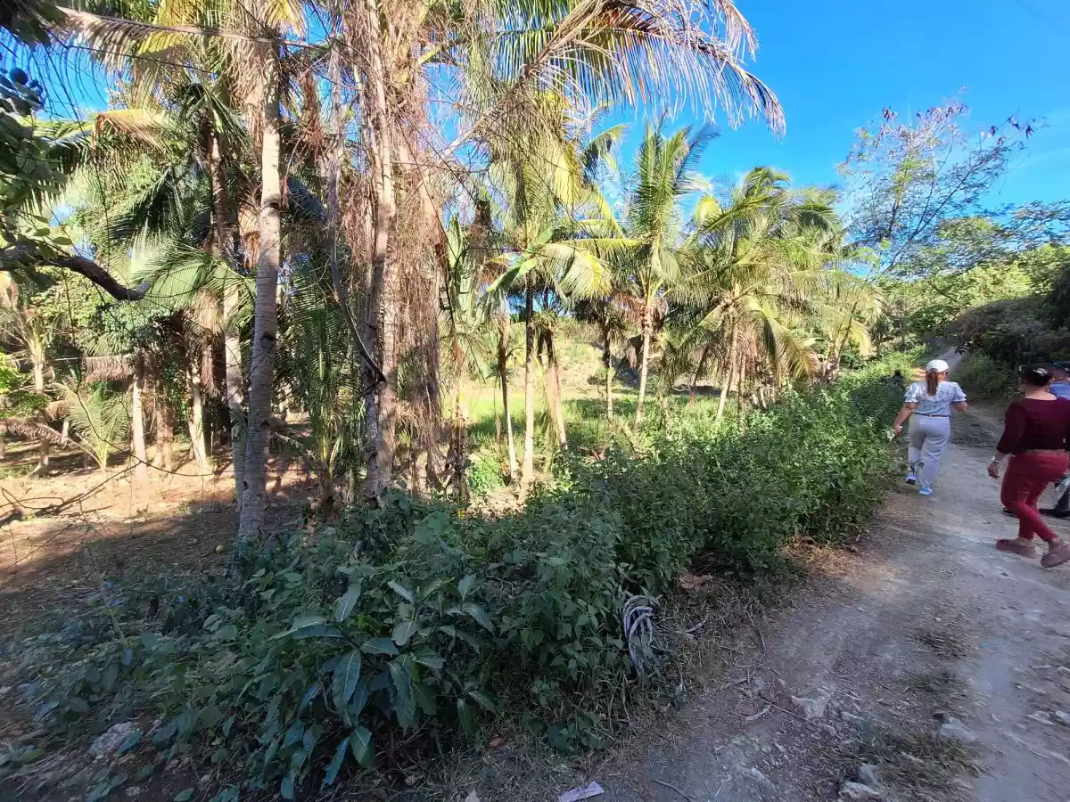 Open photo 12 of 15 — Lot Only in Cambanay
