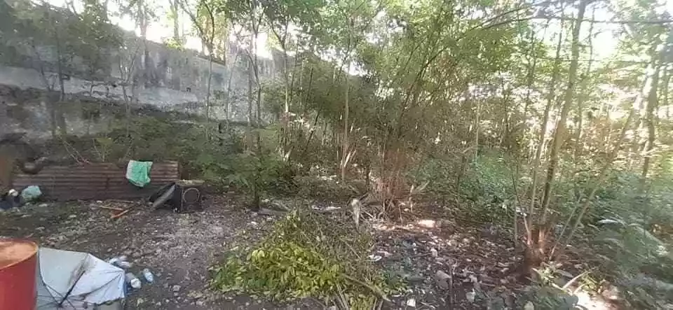 Lot for Sale - photo 5
