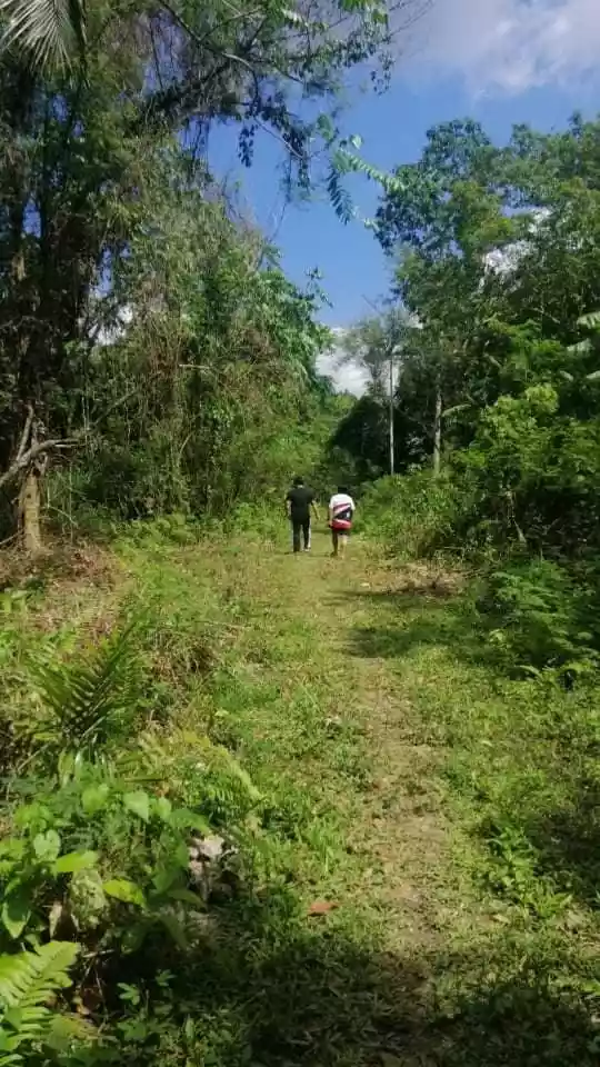 Affordable Residential Lot for Sale in Corella, Bohol!