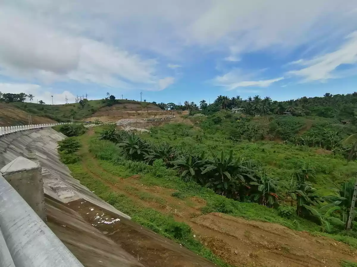Land for SALE , Nasipit, Agusan Del Norte - photo 5