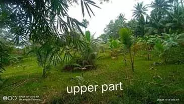 Lot for Sale in San Fernando — Agricultural Lot in Cebu, Philippines — Photo 3