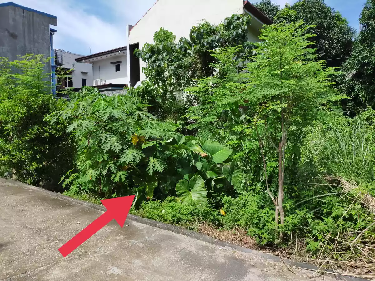 RESIDENTIAL LOT FOR SALE — Residential Lot in Bag ong Daan Road, Liloan, Cebu — Photo 3
