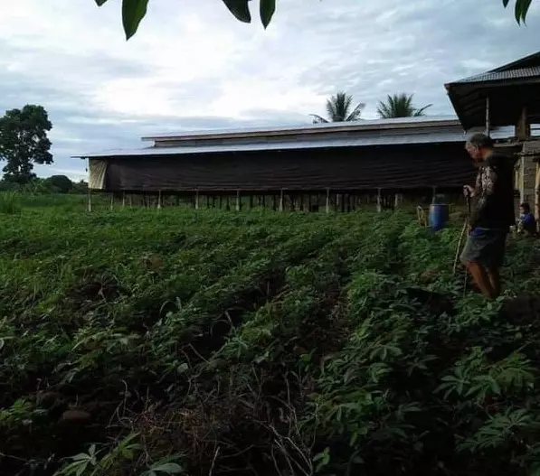 Poultry Farm For Sale in Manolo Fortich Bukidnon - photo 6