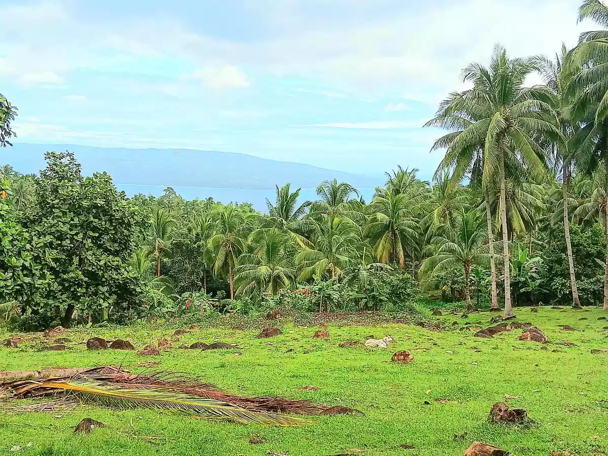 Overlooking Lot for Sale In Maningcao,Sibulan,Negros Oriental - photo 4