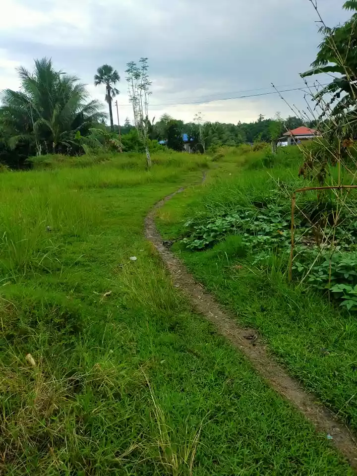 NEAR GRANDMALL CARCAR COMMERCIAL/RESIDENTIAL LOT — Commercial Lot in Carcar City, Cebu, Philippines — Photo 6