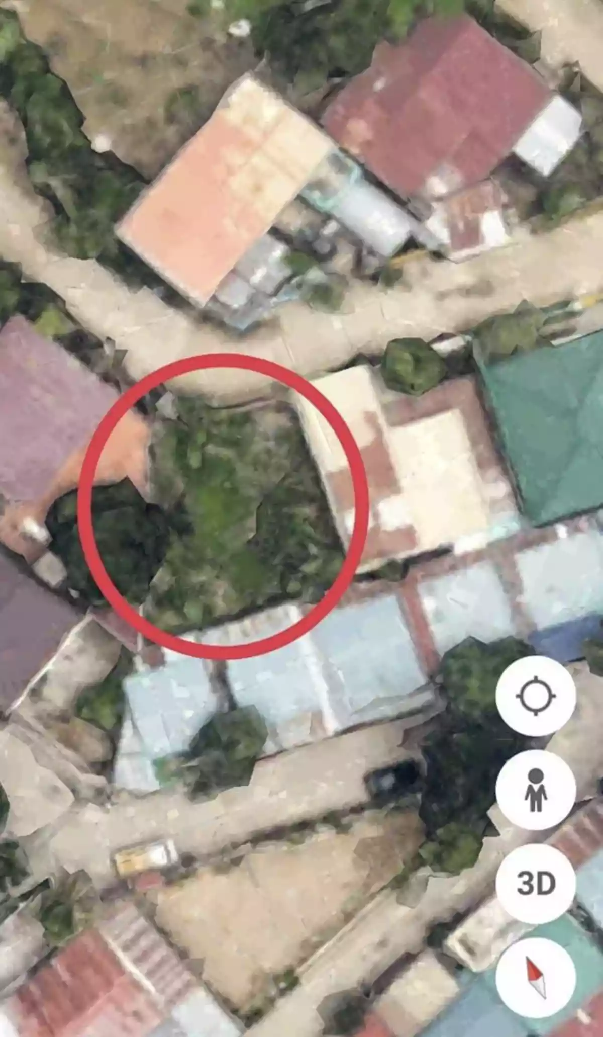 RESIDENTIAL LOT IN LIPATA MINGLANILLA  - photo 2