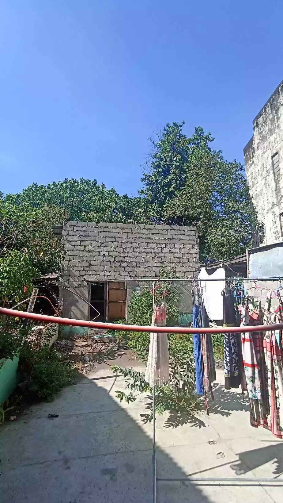 Commercial Lot For Sale infront of Public Market in Pangasinan - photo 2