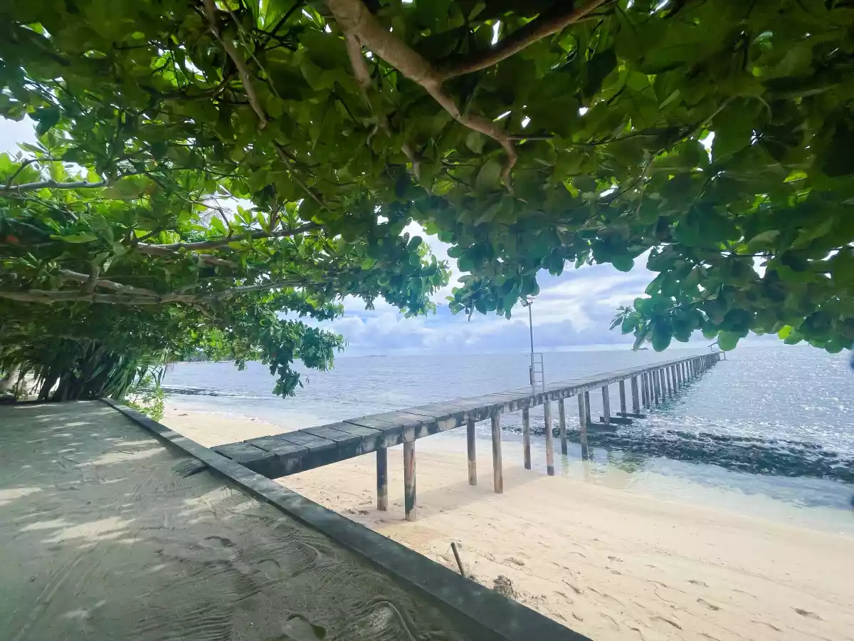 FOR SALE: BEACHFRONT RESORT IN SIARGAO@165M PHP — Beach House / Resort in General Luna, Surigao del Norte, Philippines — Photo 3