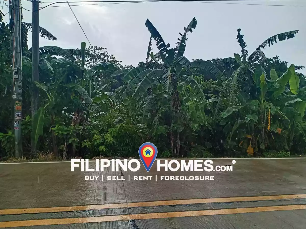 Residential lot — Residential Lot in Minalabac, Camarines Sur, Philippines — Photo 4