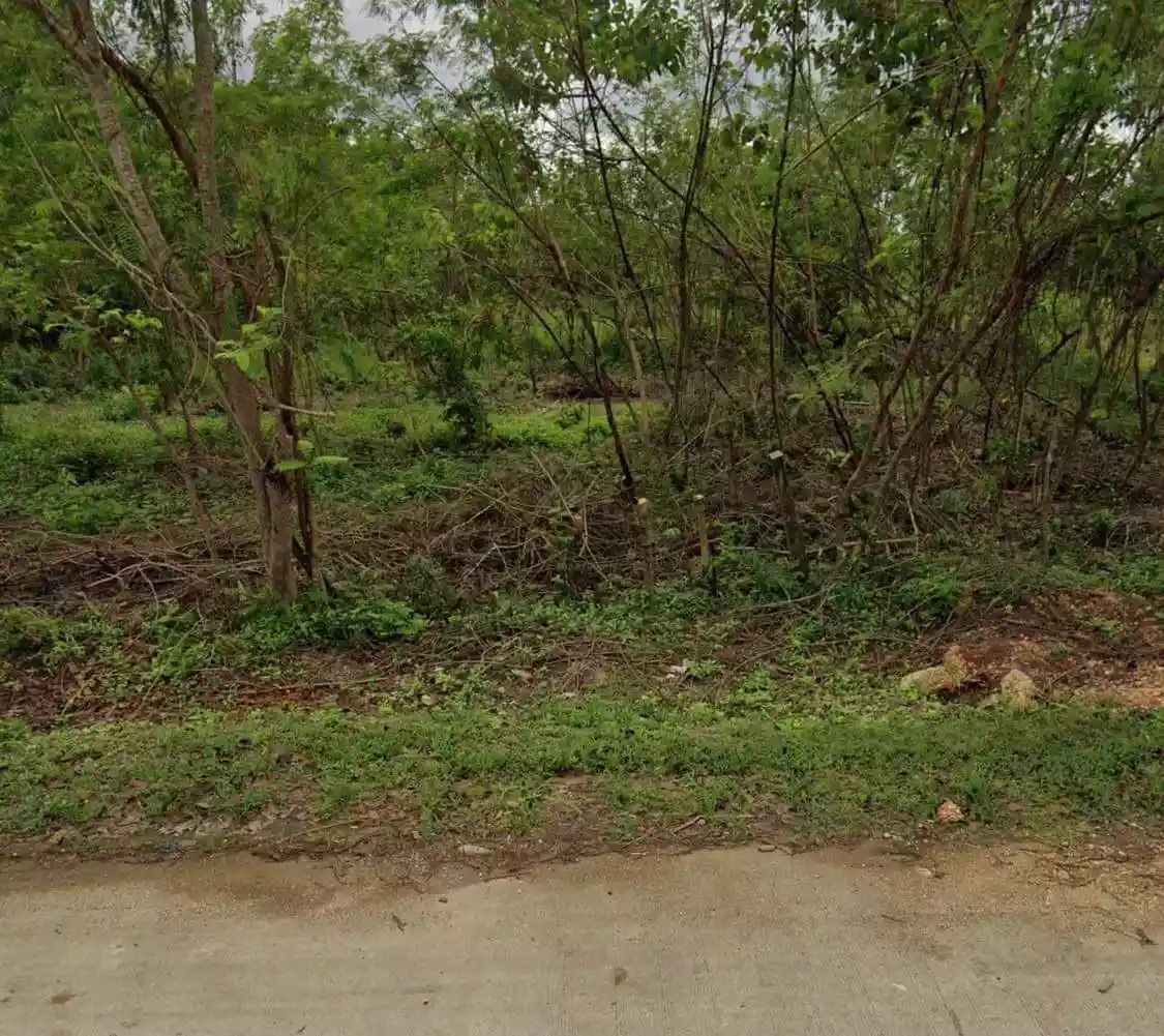 Commercial/Residential Lot in Dauis, Panglao — Commercial Lot in Dao, Dauis, Bohol — Photo 4