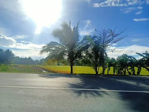 Land For Sale along National Highway in Butuan