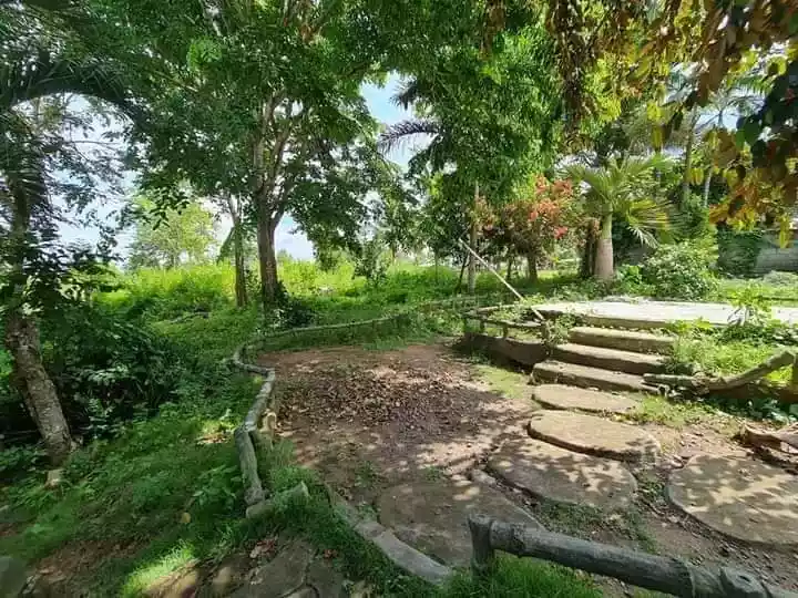 1 HECTARE FARM IN ALABEL - photo 5