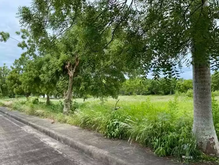 Vista Mar Lot For Sale  - photo 4