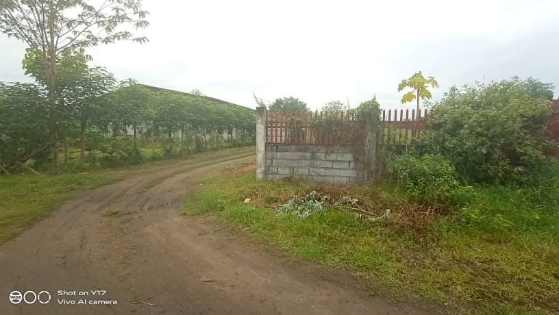 500sqm Lot Near Diversion Road - photo 3