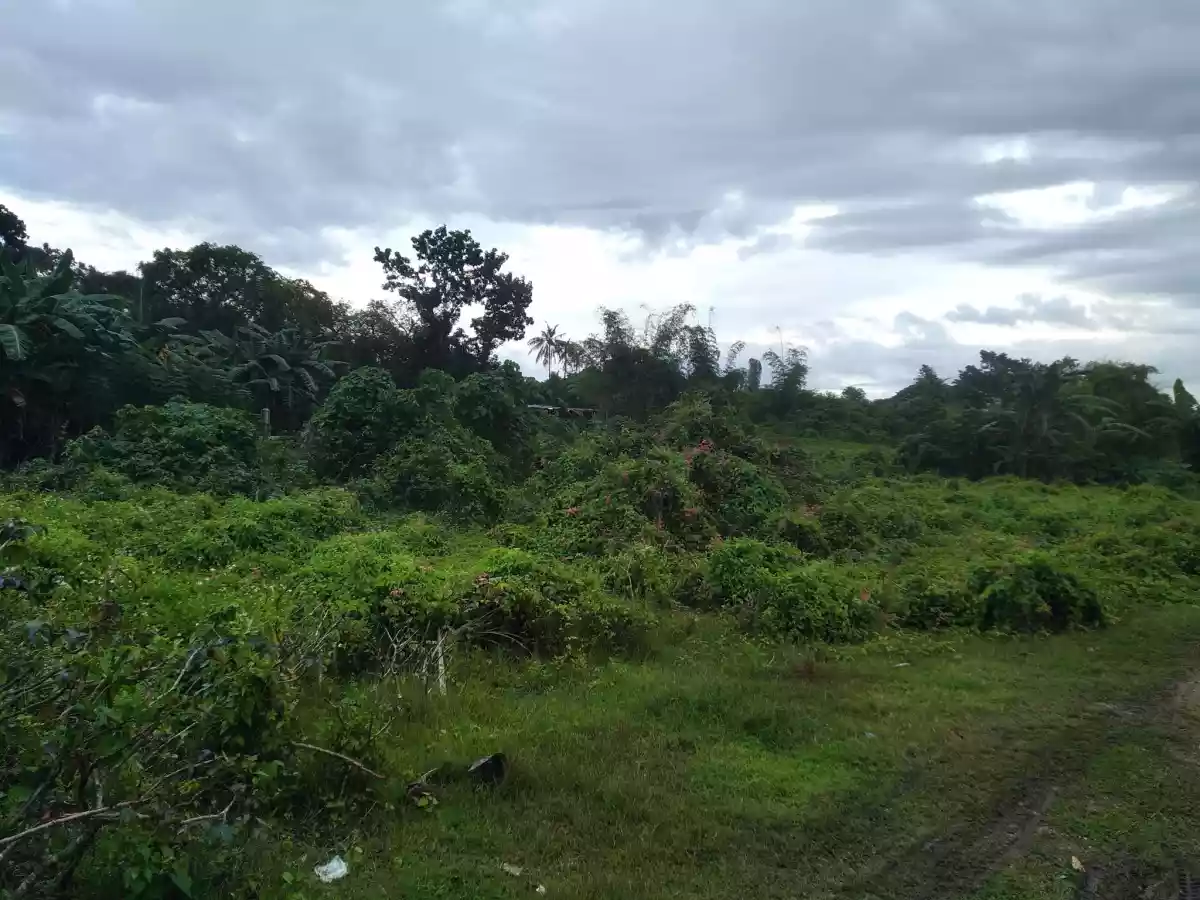 Affordable lot - photo 6