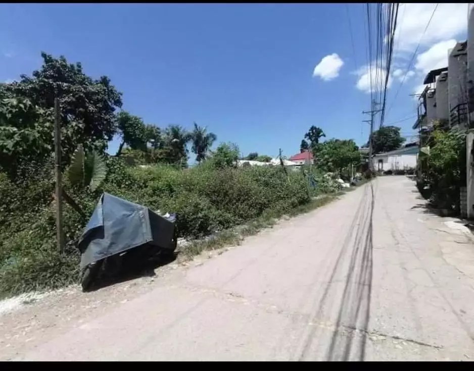 Lot For Sale Talamban Cebu City  - photo 2
