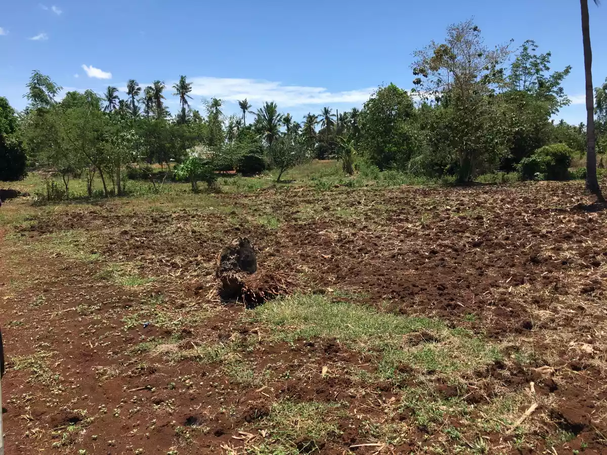 Cogon, Elsalvador — Residential Lot in Misamis Oriental, Philippines — Photo 3