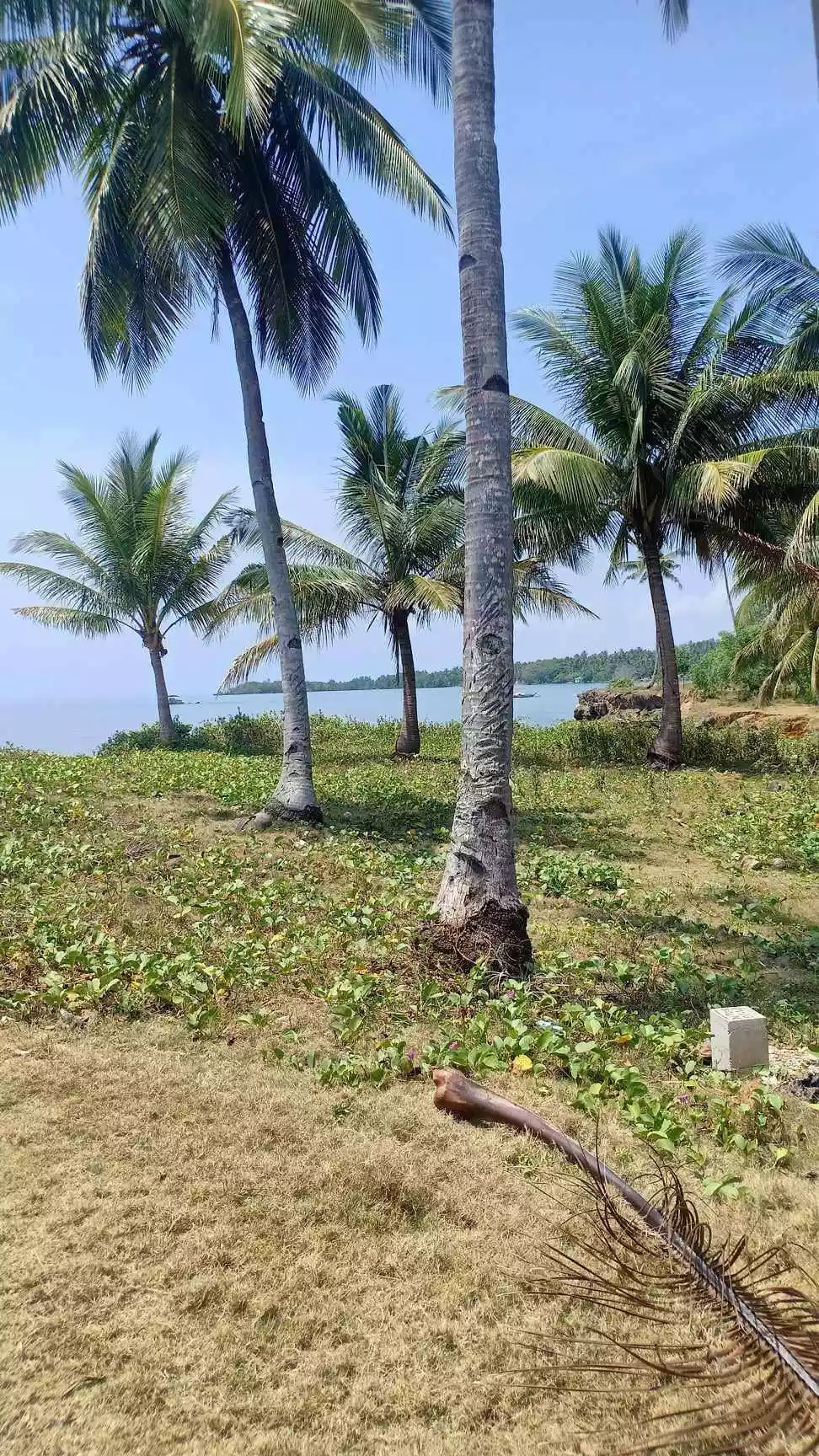 BEACH LOT - photo 6