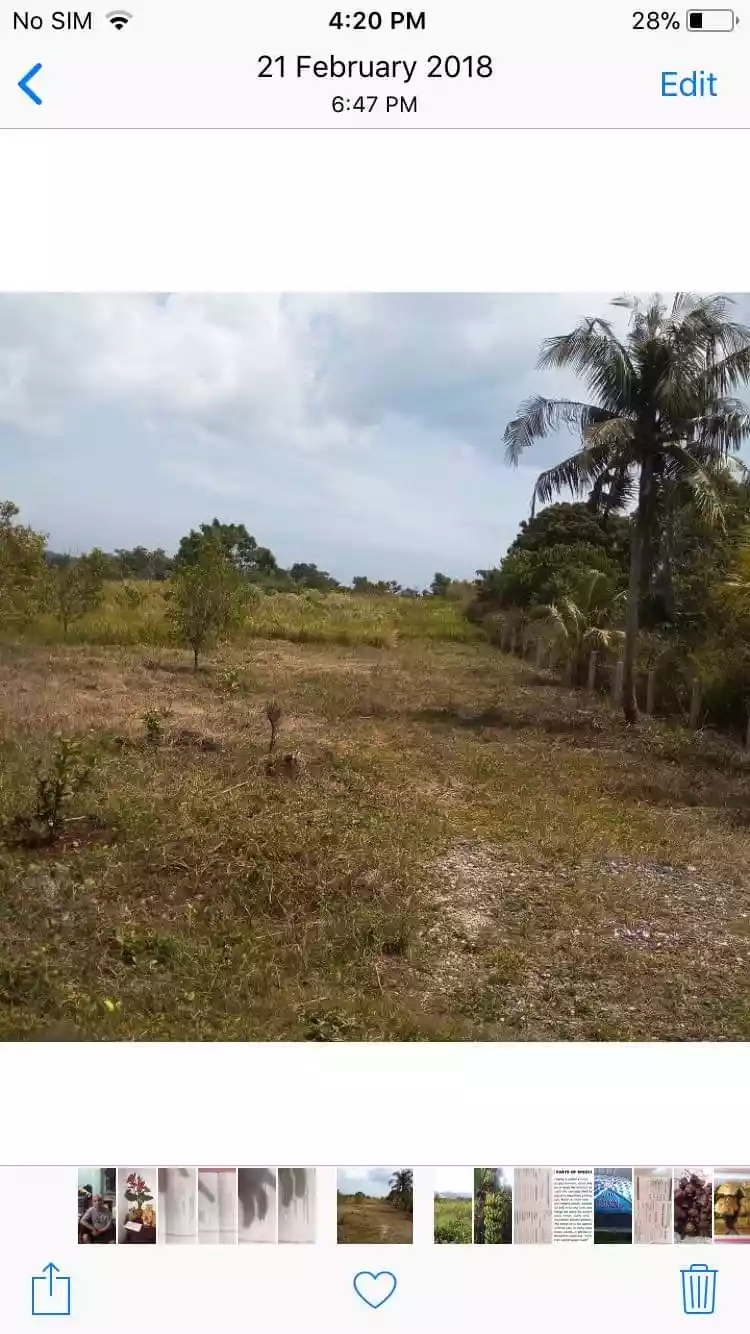 Farm lot for sale - photo 3