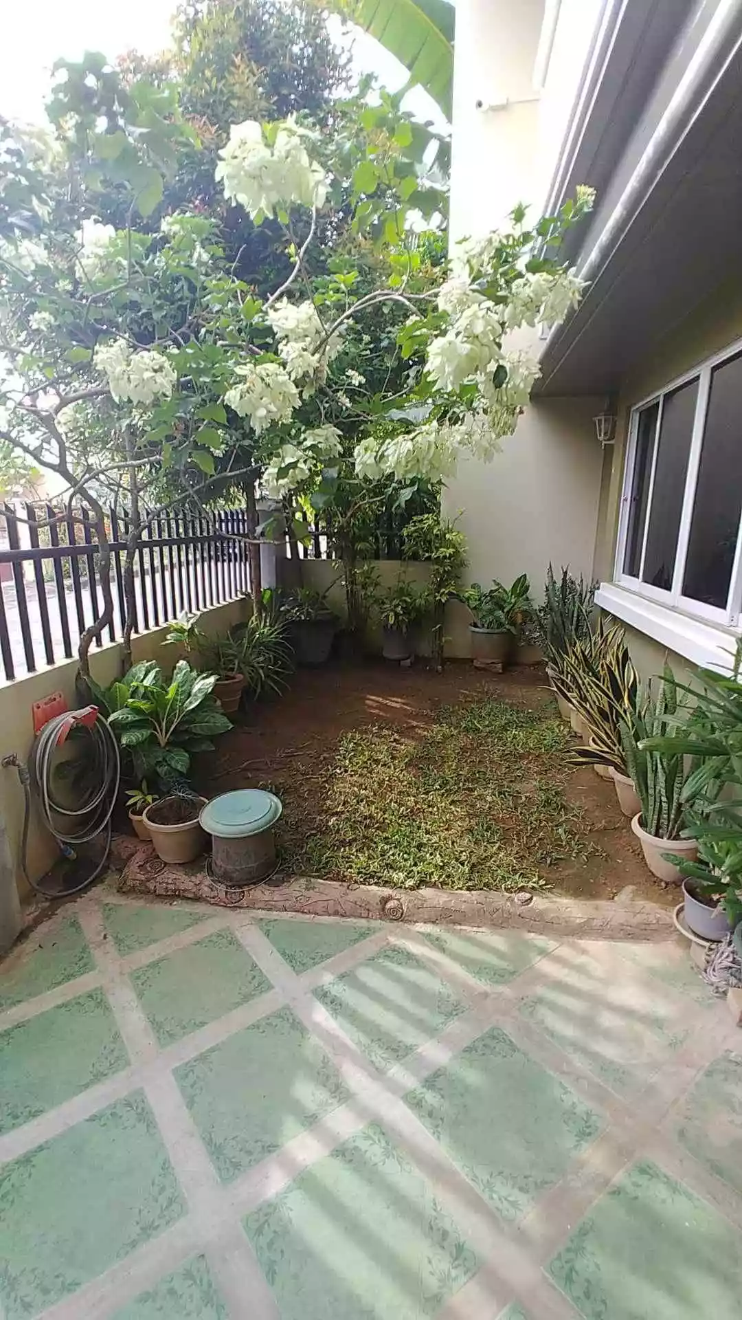 House For Rent Inside Metropolis Subdivision — House and Lot in Phase 1, Daffodil Street, Cebu City — Photo 3