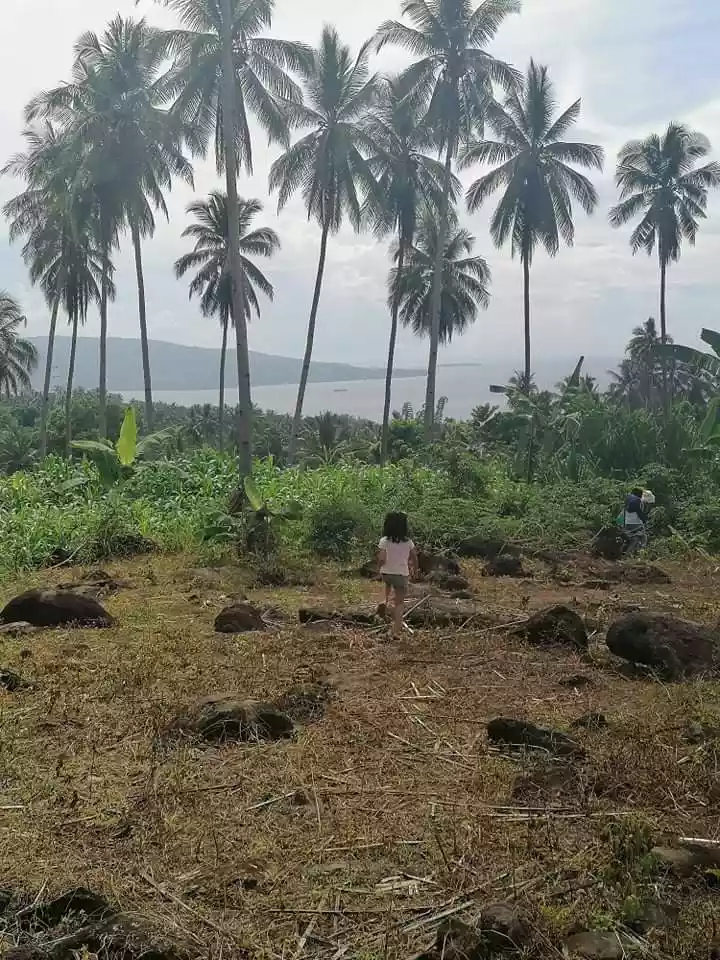 LOT FOR SALE IN MANINGCAO, SIBULAN, NEG. OR. - photo 6