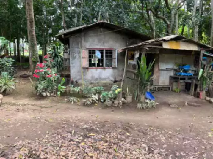 For Sale: Agricultural Lot in Lalaan I, Silang — 1,000 sqm — Agricultural Lot in Silang, Cavite, 4118 — Photo 7