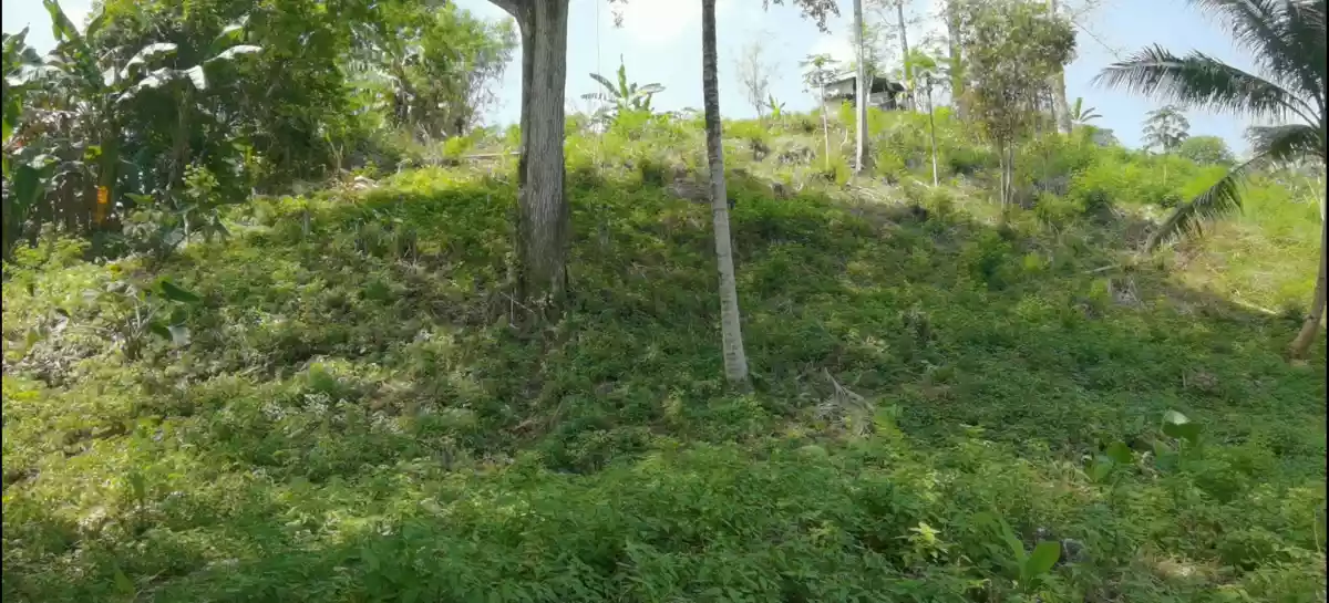 FOR SALE 6100 sqm RESIDENTIAL LOT IN KORONADAL  - photo 4