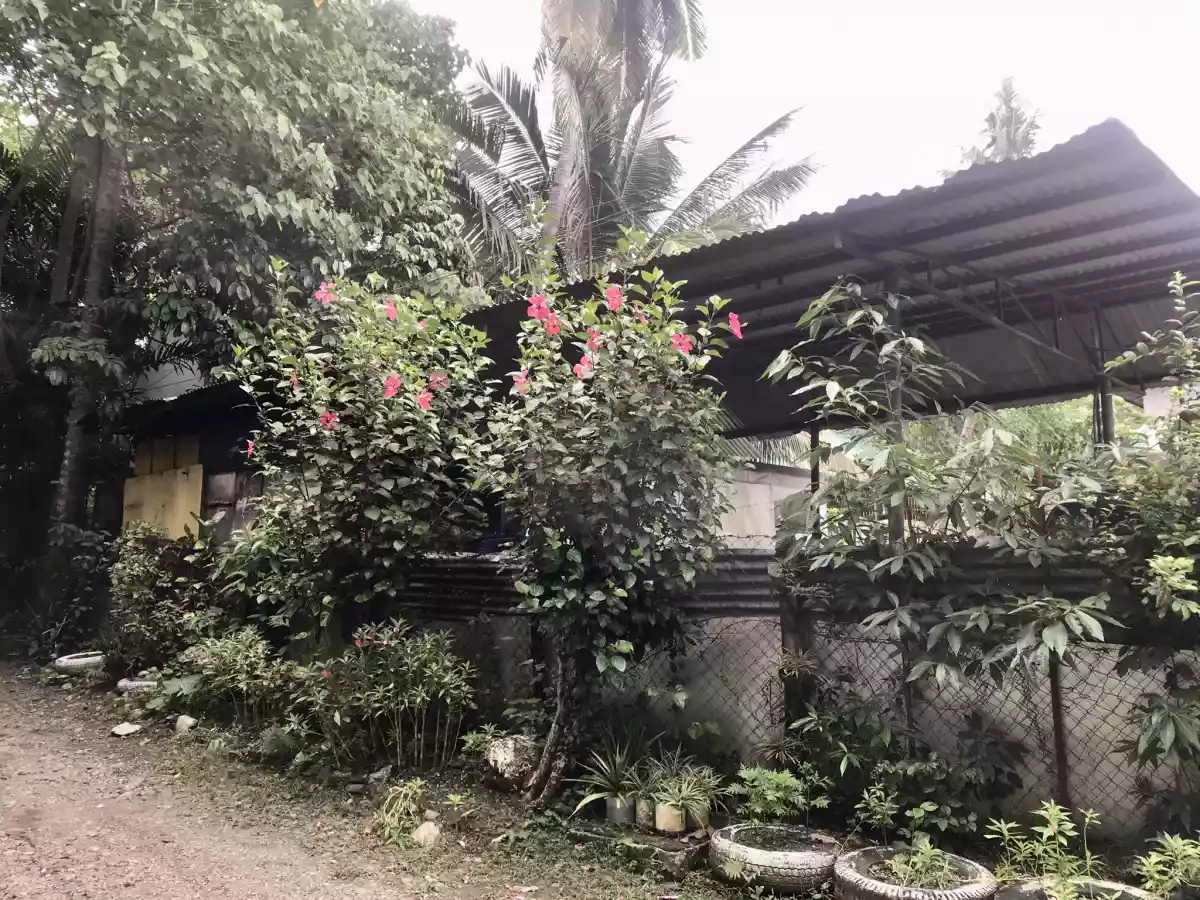 HOUSE AND LOT FOR SALE IN BAJADA — House and Lot in Buhangin, Davao City, Davao del Sur — Photo 3