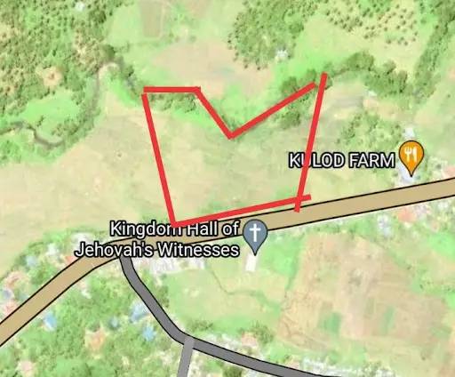 Along national highway 5 hectares Clean Titled Property in Allen