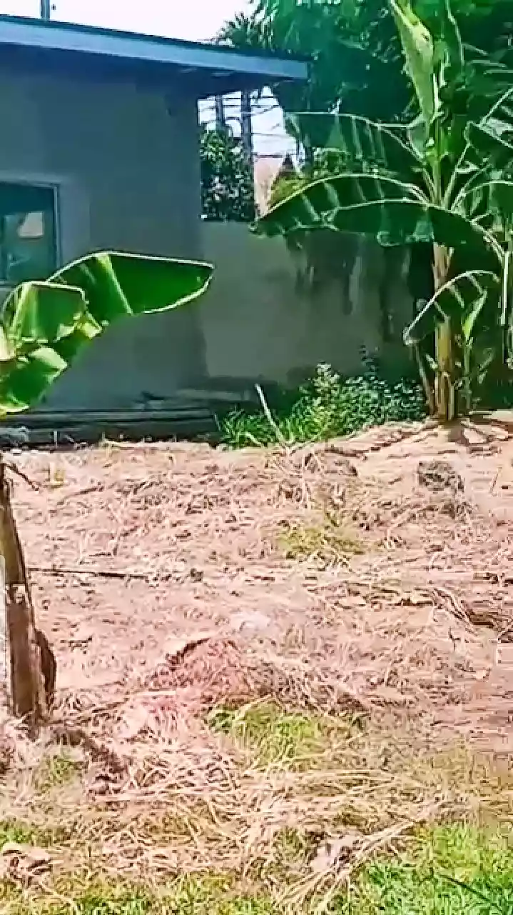 Lot for sale - photo 6