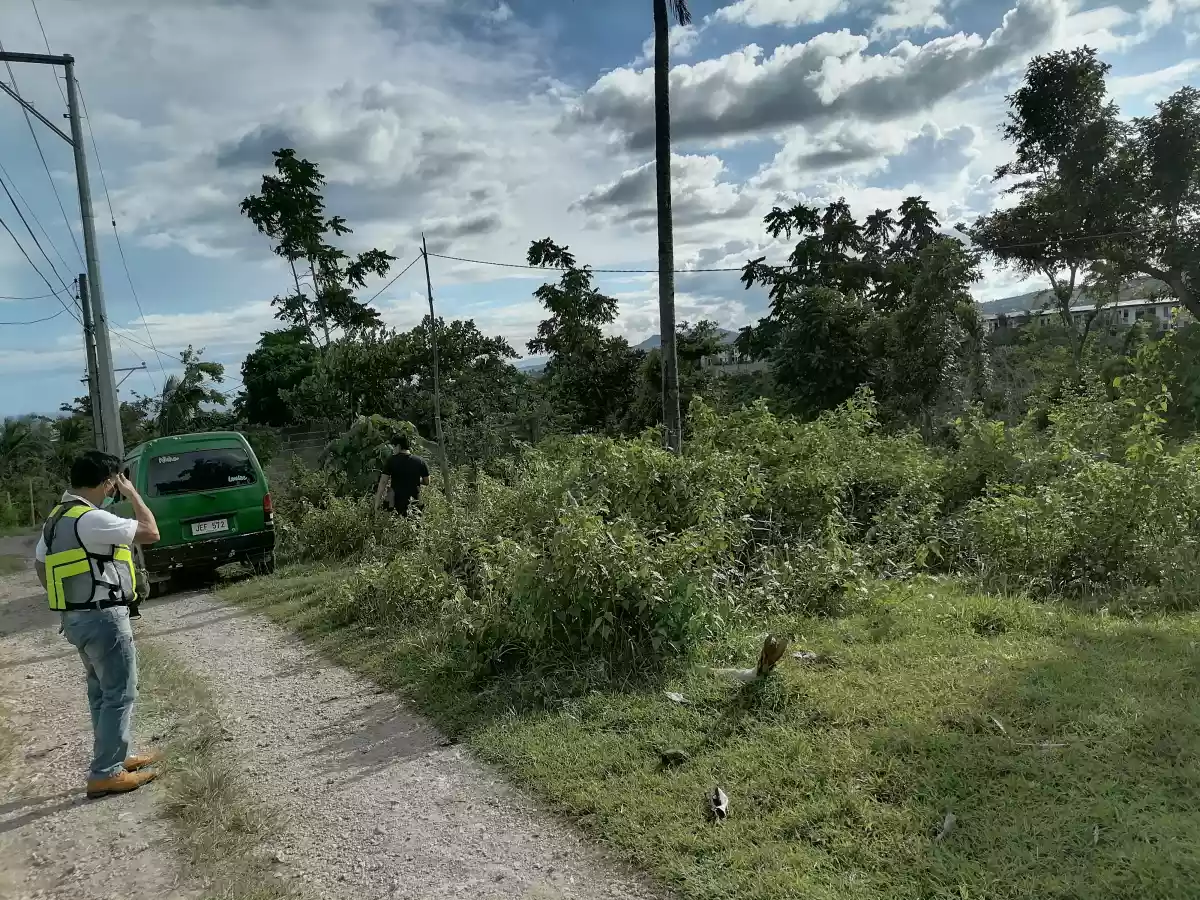 LOT ONLY FOR SALE - photo 4