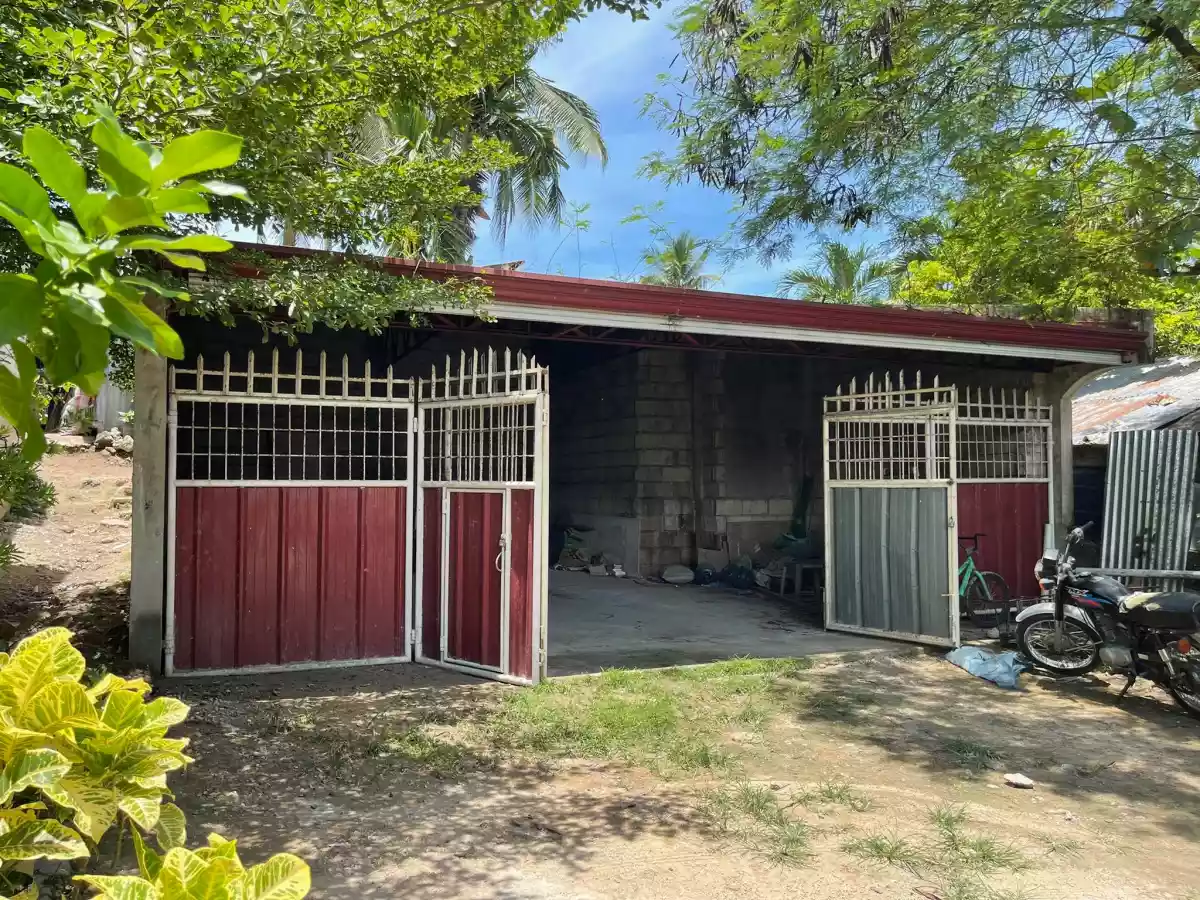 Commercial lot with structure FOR RENT - photo 5