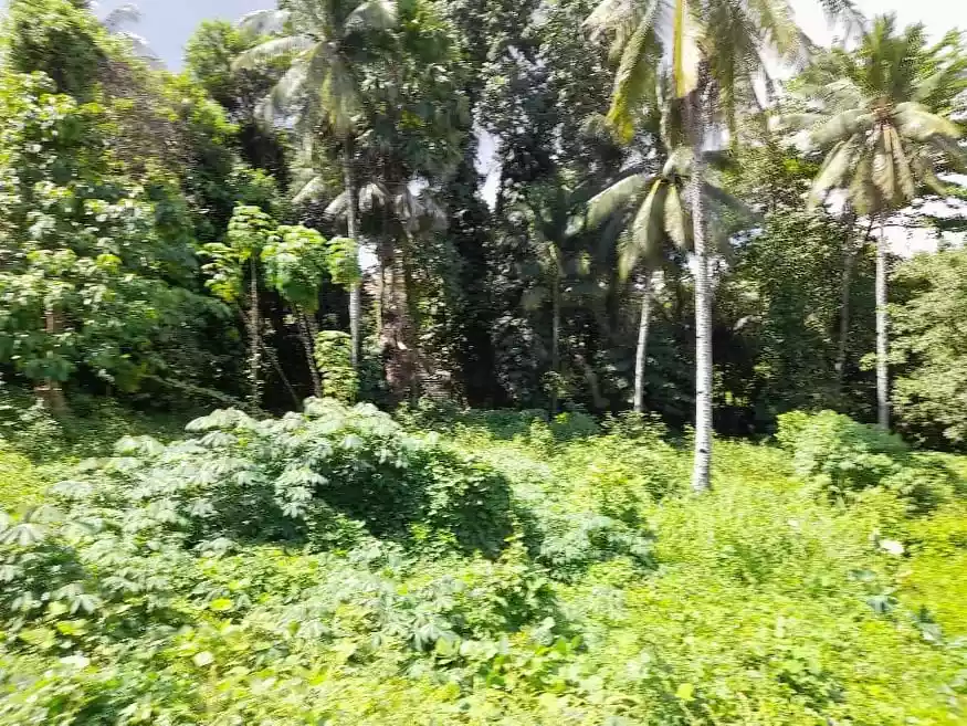 Lot Only Nga Duol DownTown Shrine HIlls  - photo 4