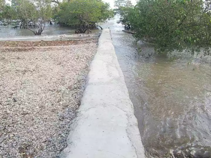1 Hectare Beachfront Property for sale in San Rafael, Puerto Princesa City, Palawan — Beach Lot in Barangay San Miguel, Puerto Princesa, Palawan — Photo 6