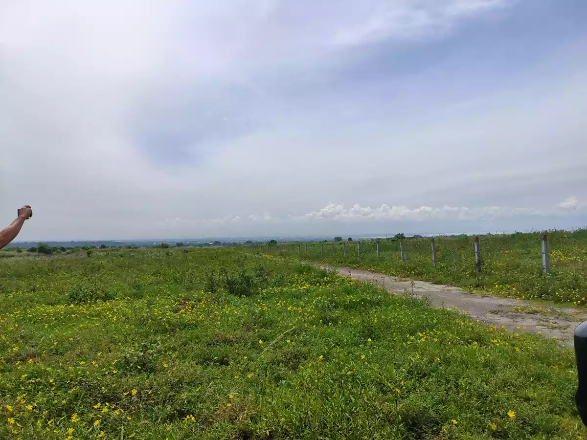 Lot for sale - photo 4