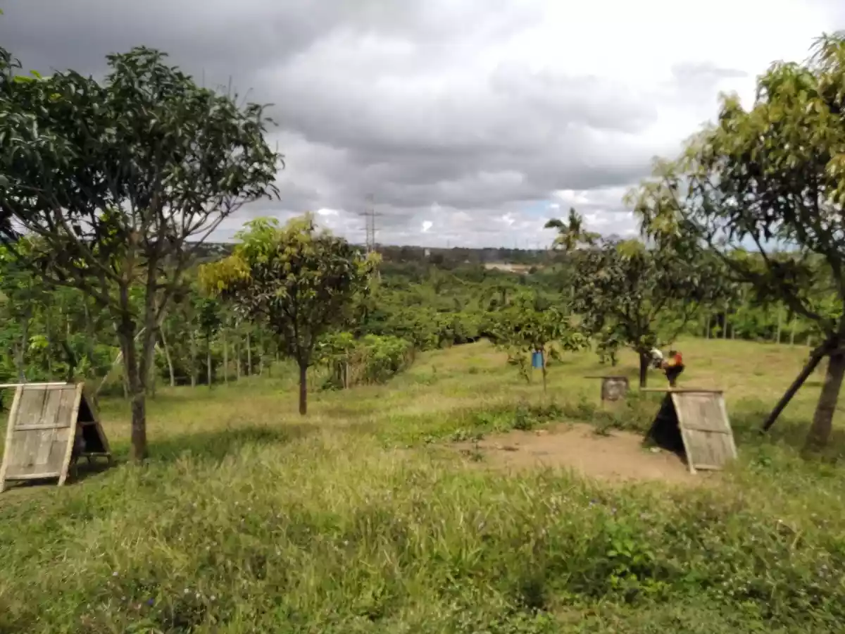 Casile HOT farm lot - photo 6