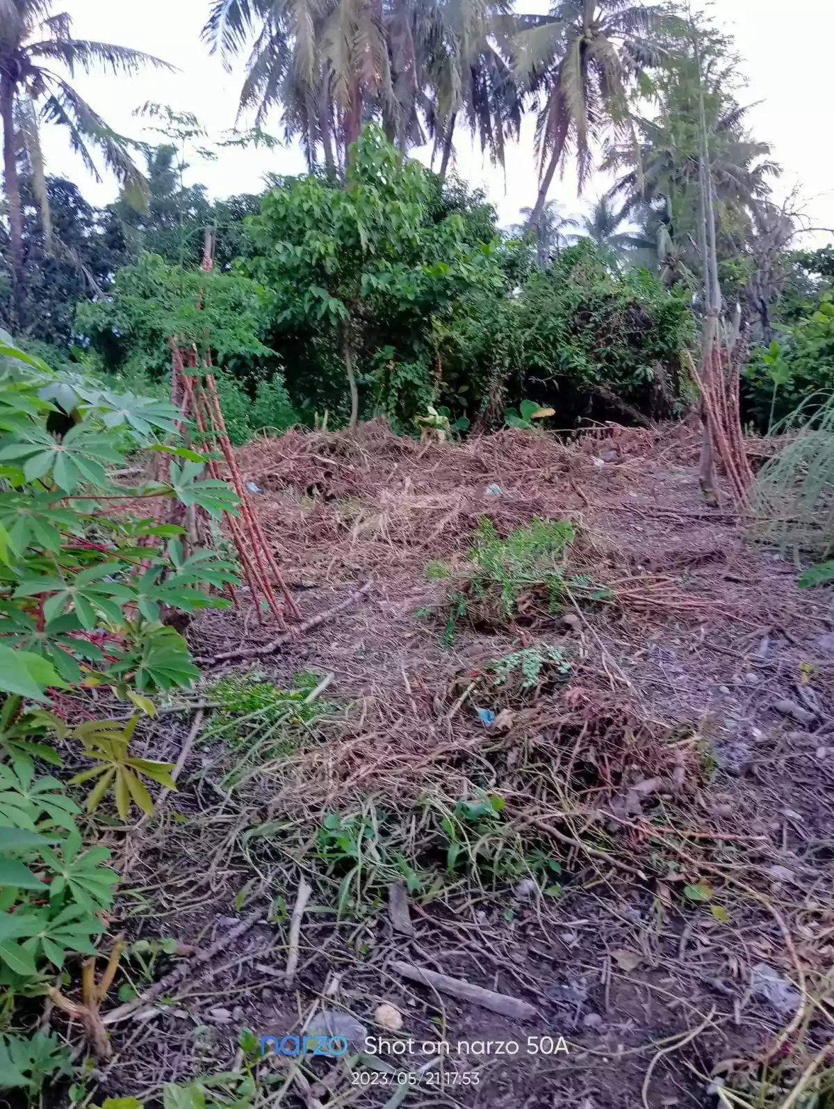 RESIDENTIAL LOT FOR SALE IN TALISAY CITY!! - photo 3