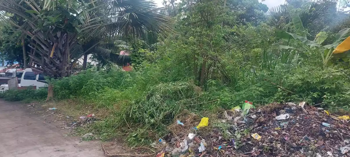 Lot for Sale-Overlooking Mactan channel - photo 5