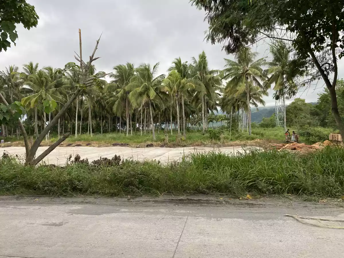 Lot for rent — Commercial Lot in Philippines — Photo 3