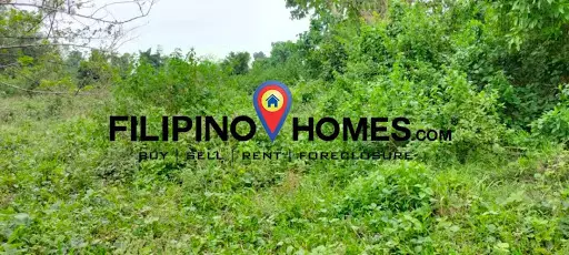 605 — Agricultural Lot in Naga, Camarines Sur, Philippines — Photo 3